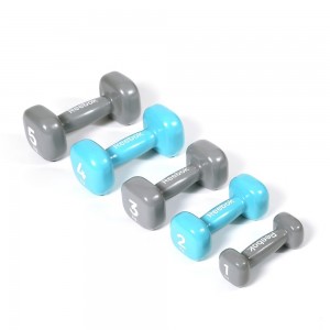 Reebok Dumbbell 包膠啞鈴 (pcs) FIT143 FIT188 FIT189 FIT304 FIT305 